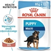 Изображение Royal Canin Maxi Puppy karma mokra dla szczenit, od 2 do 15 miesica ycia, ras duych saszetka 140g