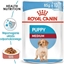 Изображение Royal Canin Medium Puppy karma mokra dla szczenit, od 2 do 12 miesica, ras rednich 140g