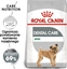 Изображение Royal Canin Mini Dental Care karma sucha dla psów dorosych ras maych do 10 kg higiena zbów 1kg