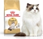 Изображение Royal Canin Ragdol Adult karma sucha dla kotów dorosych rasy ragdoll 0.4 kg