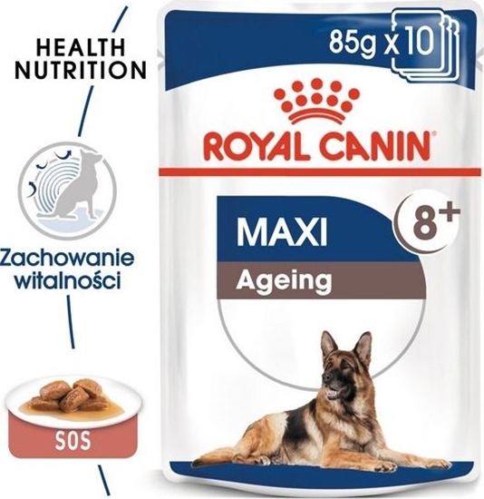 Picture of Royal Canin Royal Canin Maxi Ageing 8+ karma mokra dla psów dojrzaych, po 8 roku ycia, ras duych saszetka 140g