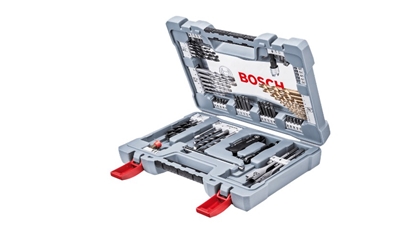 Picture of Wierto Bosch  (2608P00234)