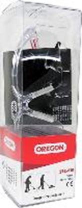 Picture of Aizsargbrilles Oregon 545830