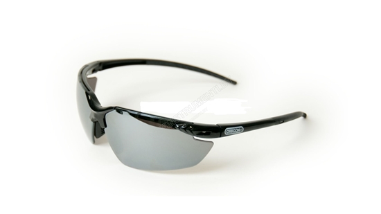 Picture of Aizsargbrilles Oregon 545832