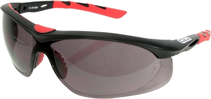 Picture of Aizsargbrilles Oregon 572797