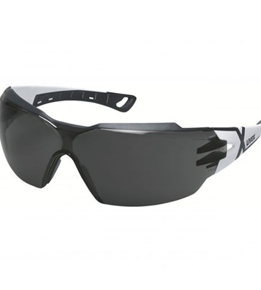 Изображение Aizsargbrilles Uvex UV9198230; pelēki