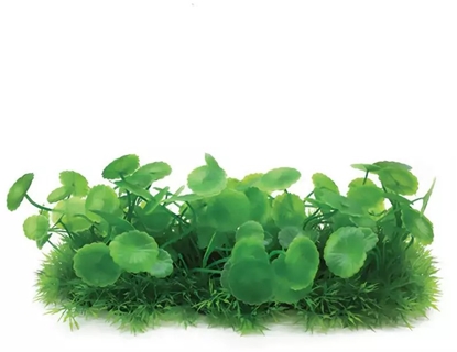 Picture of Aqua Natura, rolina, do dekoracji akwarium, zielona, plastikowa, 10 cm , doniczka korytkowa, due paskie licie