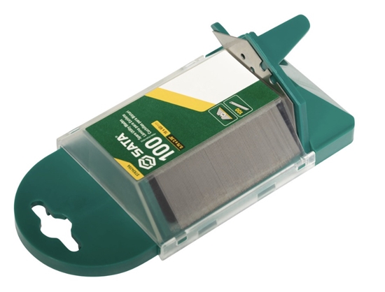 Изображение Asmens Sata ST93435A; 100 gab.