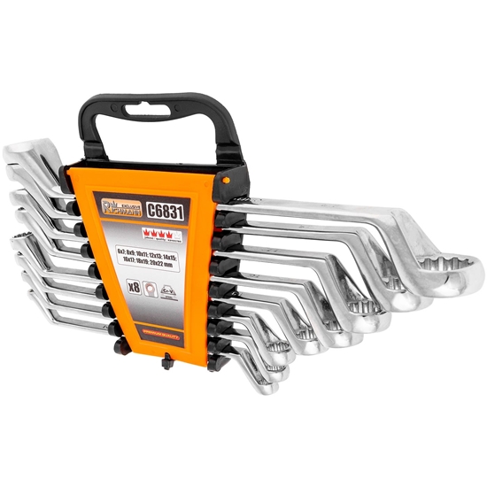 Picture of Atslēgu komplekts Richmann C6831; 6-22 mm; 8  gab.