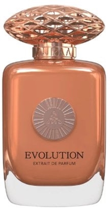 Изображение AURAA DESIRE Destiny Extrait de Parfum 100ml