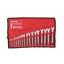 Picture of AWTools AW KLUCZ PASKO-OCZKOWY KPL.17szt./6mm-22mm