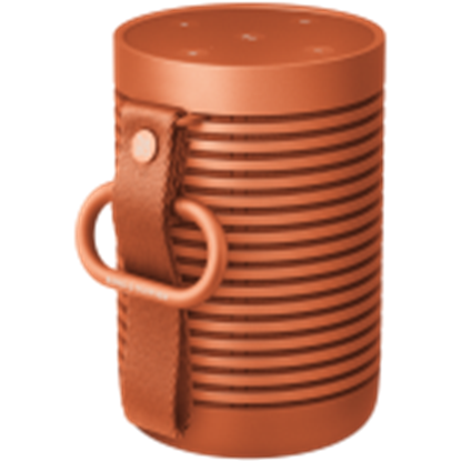 Изображение BANG & OLUFSEN 1626037