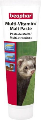 Picture of Beaphar MALT/MULTI PASTE FRETKA 100g