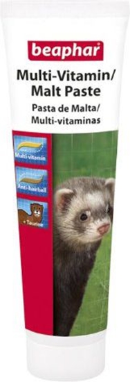 Изображение Beaphar MALT/MULTI PASTE FRETKA 100g