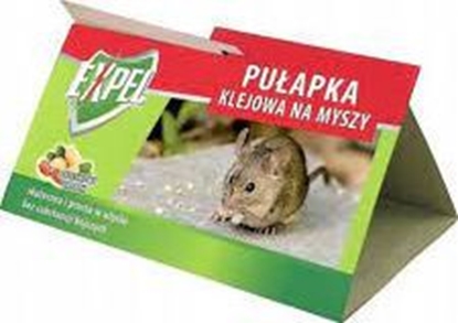 Изображение Bros PUAPKA KLEJOWA NA MYSZY EXPEL