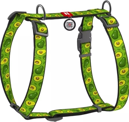 Picture of Collar Szelki nylonowe anatomiczne w ksztacie litery H, z QR-paszportem, plastikowy fastex, wzór AWOKADO, rozmiar M 20mm