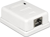 Picture of Delock Modular Wall Outlet 1 Port Cat.6