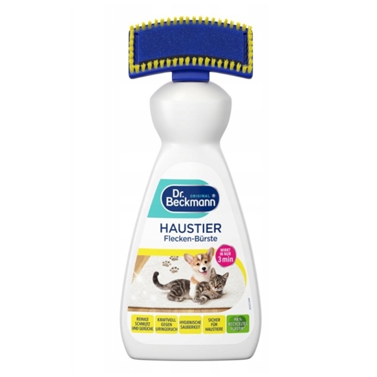 Picture of Dr. Beckmann Pet Stain & Odor Remover with Brush 650ml