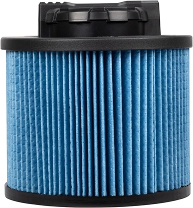 Изображение Filtrs DeWalt DXVC4002