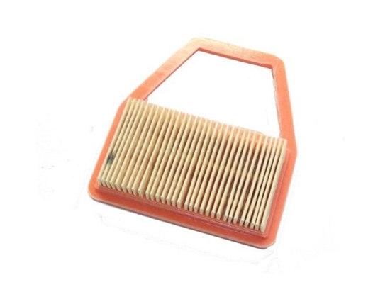 Picture of Gaisa filtrs dzinēja atvēsināšanai Oleo-Mac 61380013AR