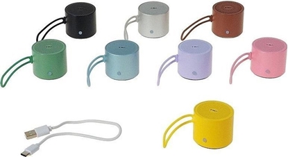 Picture of Gonik metalowy 4,6x4cm z kablem USB