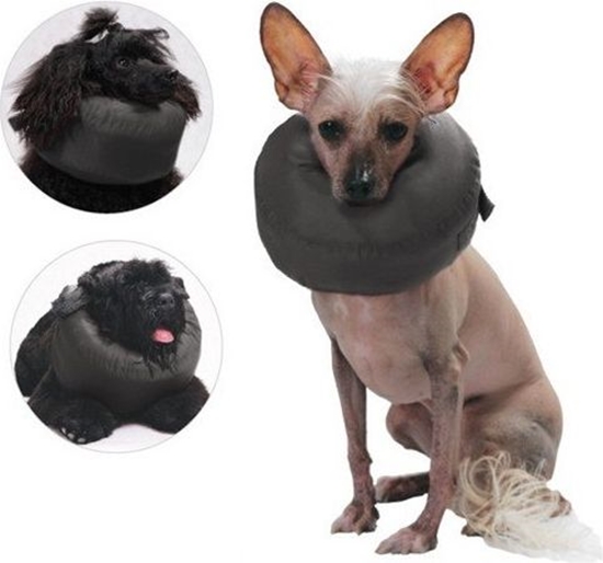 Picture of Grande Finale Grande Finale Konierz pooperacyjny rozmiar 7 [WET/K/7] - WET/K/7