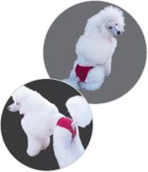 Picture of Grande Finale WET MAJTKI NA CIECZK CZERWONE PAW 4 [M22]