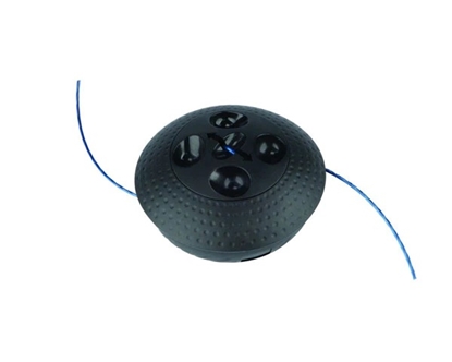 Attēls no Griešanas galviņa Oregon 571355