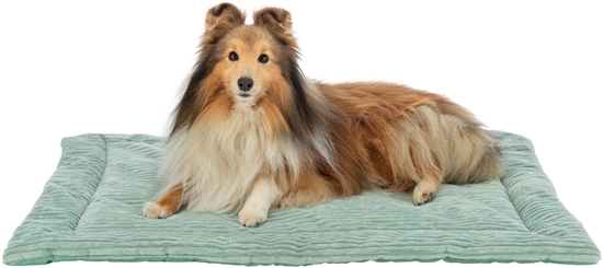 Изображение Jonna, mata, dla psa/kota, plusz, szawiowa, 130 x 85 cm