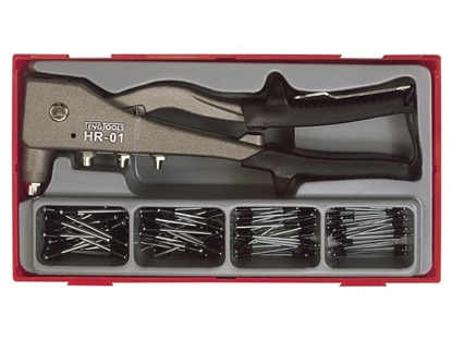 Picture of Kniedētājs Teng Tools TTHR81; 81 gab.