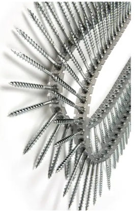 Attēls no Koka skrūves Senco 42R45MC; PH2; 4,2x45 mm; 1000 gab.