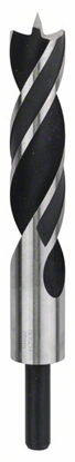 Picture of Koka urbis Bosch; 28x220 mm