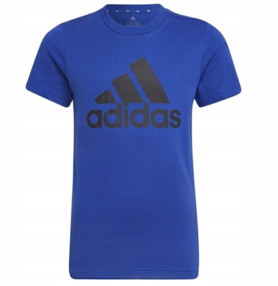 Picture of Koszulka adidas Big Logo Tee HP0840