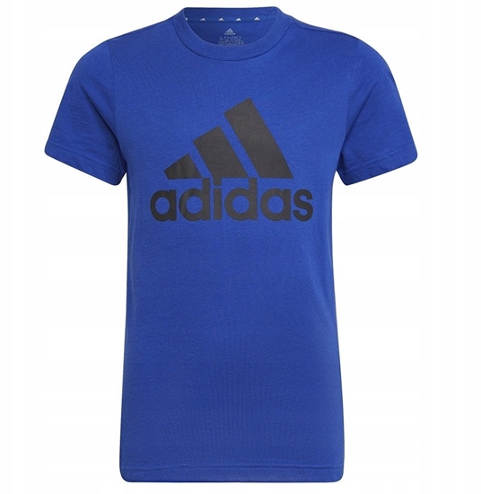 Picture of Koszulka adidas Big Logo Tee HP0840