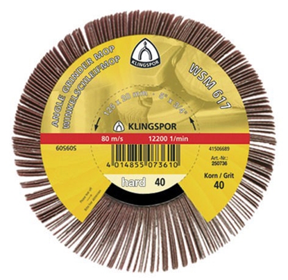 Picture of Loksnīšu slīpēšanas disks Klingspor 277018; 125x20 mm; G40; 2 gab.