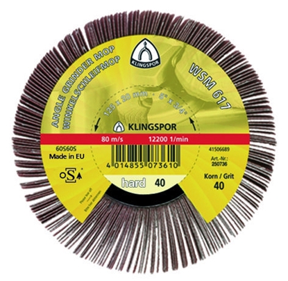 Picture of Loksnīšu slīpēšanas disks Klingspor 277019; 125x20 mm; G60; 2 gab.