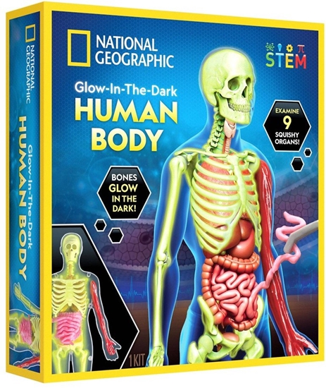 Picture of National Geographic National Geographic Human Body Science Kit
