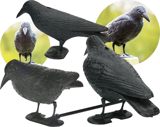 Picture of NO PEST Odstraszacz Ptaków Gobi Szpaków Makieta Ptaka Duy Kruk Stojcy Odstraszajcy Ptaki