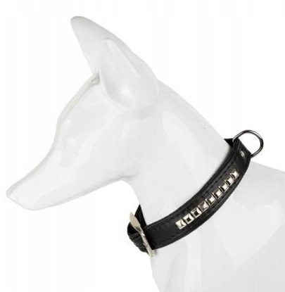 Picture of Obroa dla psa, wzór jesie, tama, 10MM/30-40CM brzowa