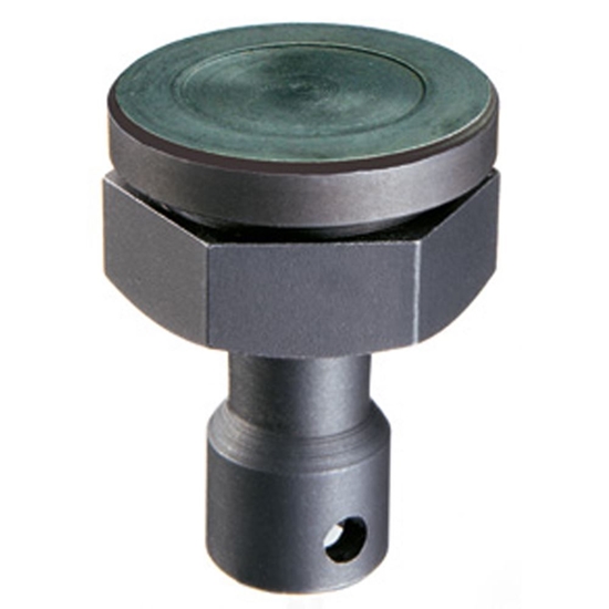 Picture of Plāksne Bessey 3100736