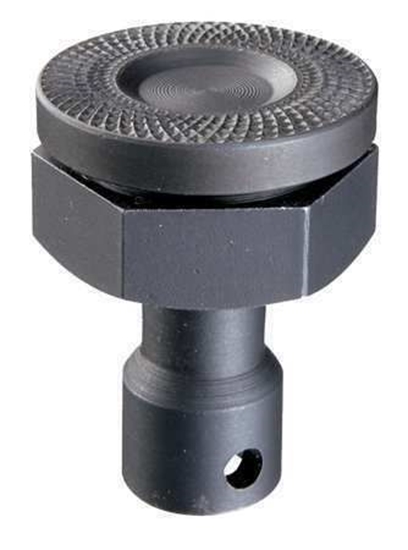 Picture of Plāksne Bessey 3101192