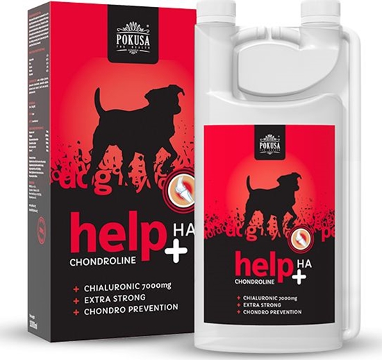 Picture of POKUSA ChondroLine Help + HA 1000ml