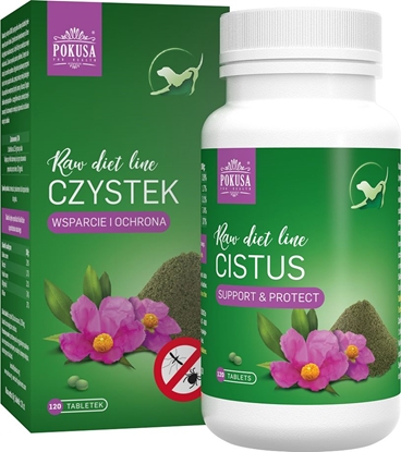 Picture of POKUSA Czystek 120 tabl