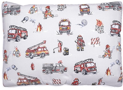 Picture of PULP-PODUSZKA BAWENIANA 40X58CM-STRA    POARNA