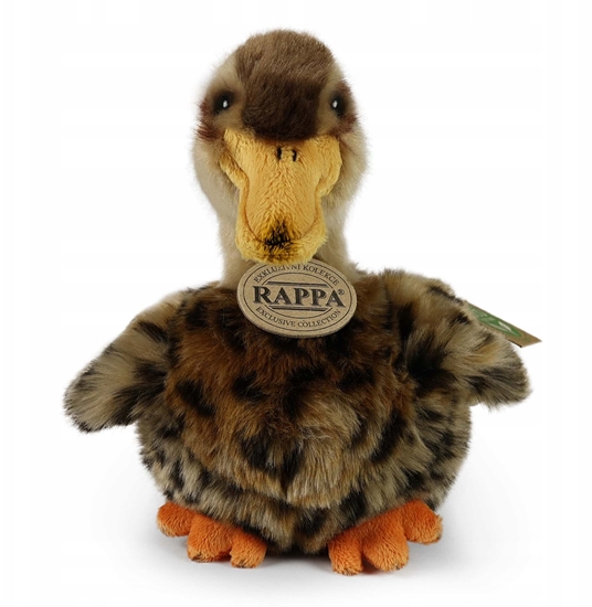 Изображение Rappa Pluszowa realistyczna maskotka Kaczka Krzyówka 19 cm
