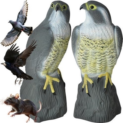 Picture of Repest Odstraszacz ptaków - sokó 23421