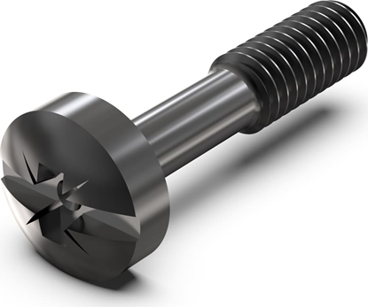 Attēls no Schroff Collar Screw, Cross Recess/Slotted, M2.5 x 12.3 mm, Steel Black, 100 pieces