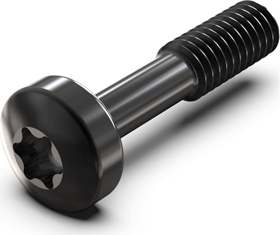 Picture of Schroff Collar Screw, Torx M2.5 x 12.3 mm, Steel Black, 100 pieces