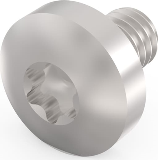 Изображение Schroff Panhead Screw, Torx, GND Function, Steel Zinc Plated, M4 × 6 mm, 100 Pieces