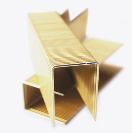 Изображение Skavas Bostitch 1192501Z; 25x25 mm; 10100 gab.; rūdītas